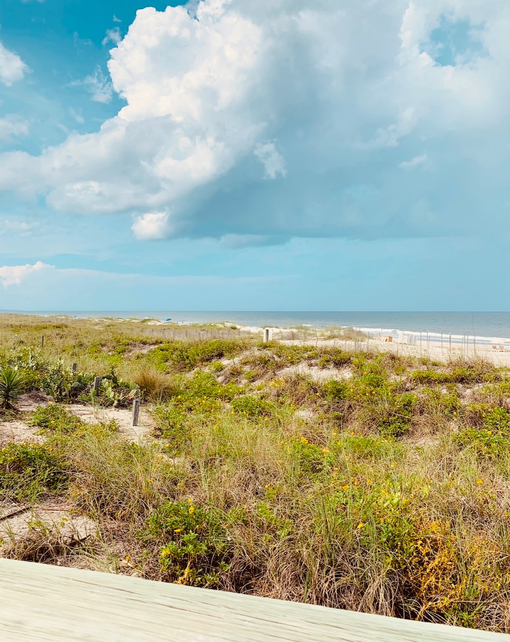 Fernandina Beach, FL Sublime Rides